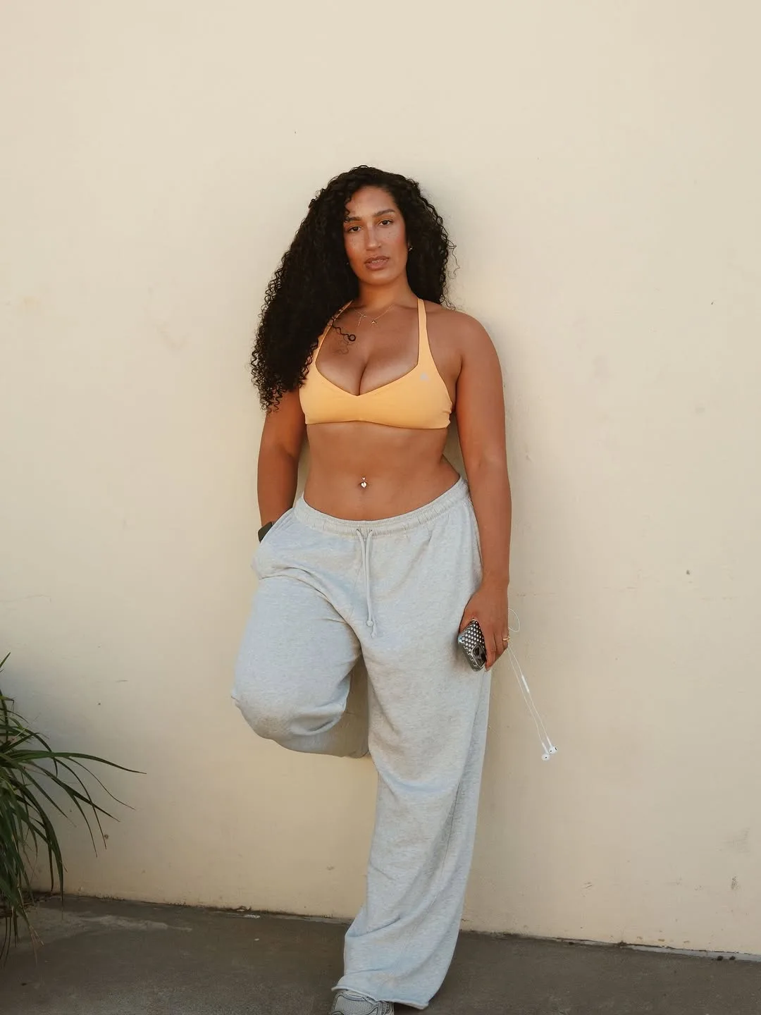 Amba Savanna photo 2 — Black, Muscular