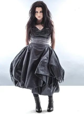 Amy Lee photo 18 — Activist, Musician, Musician: Singer, American