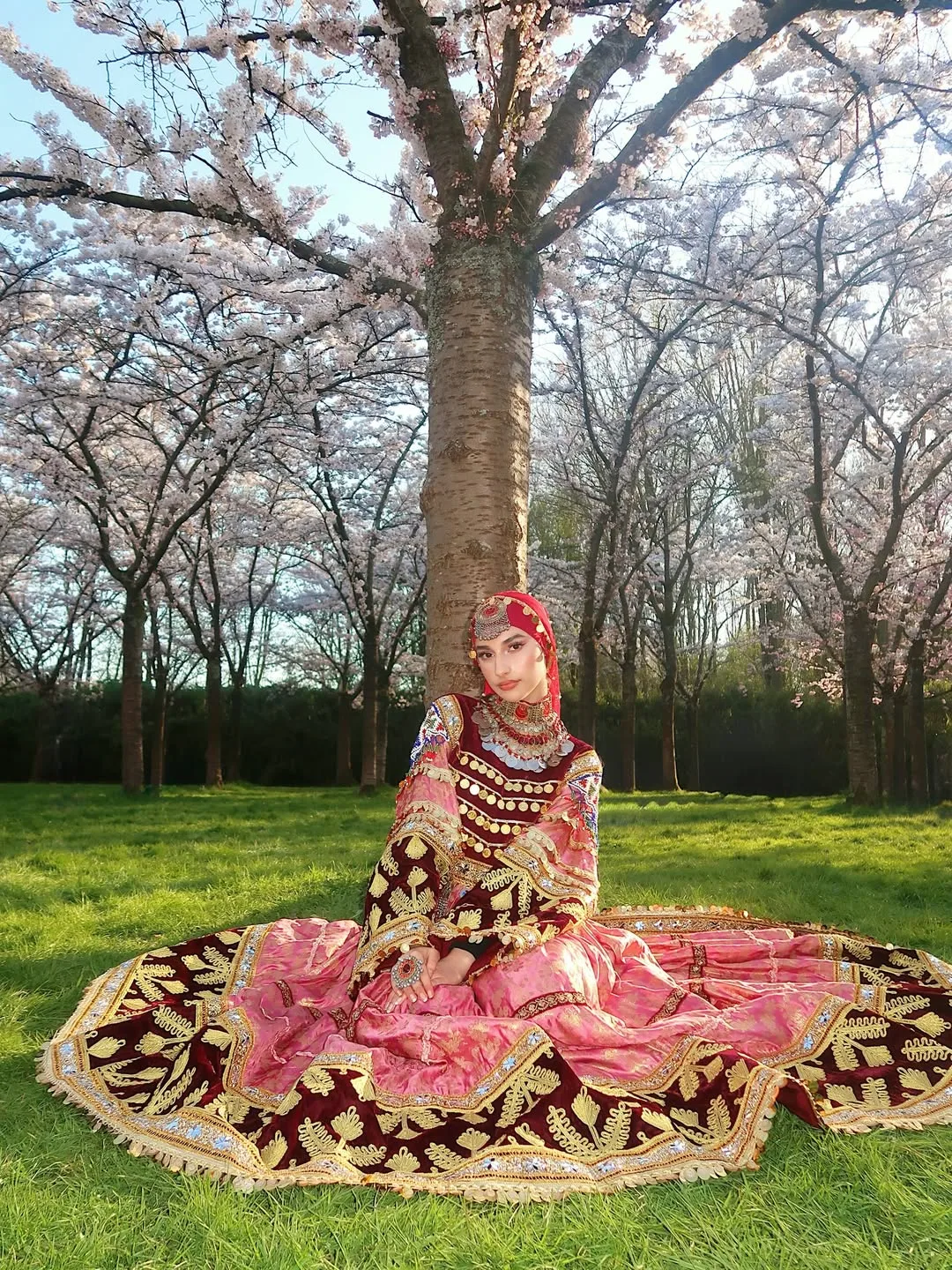 Ariana Elahi photo 16 — Dutch, Middle Eastern