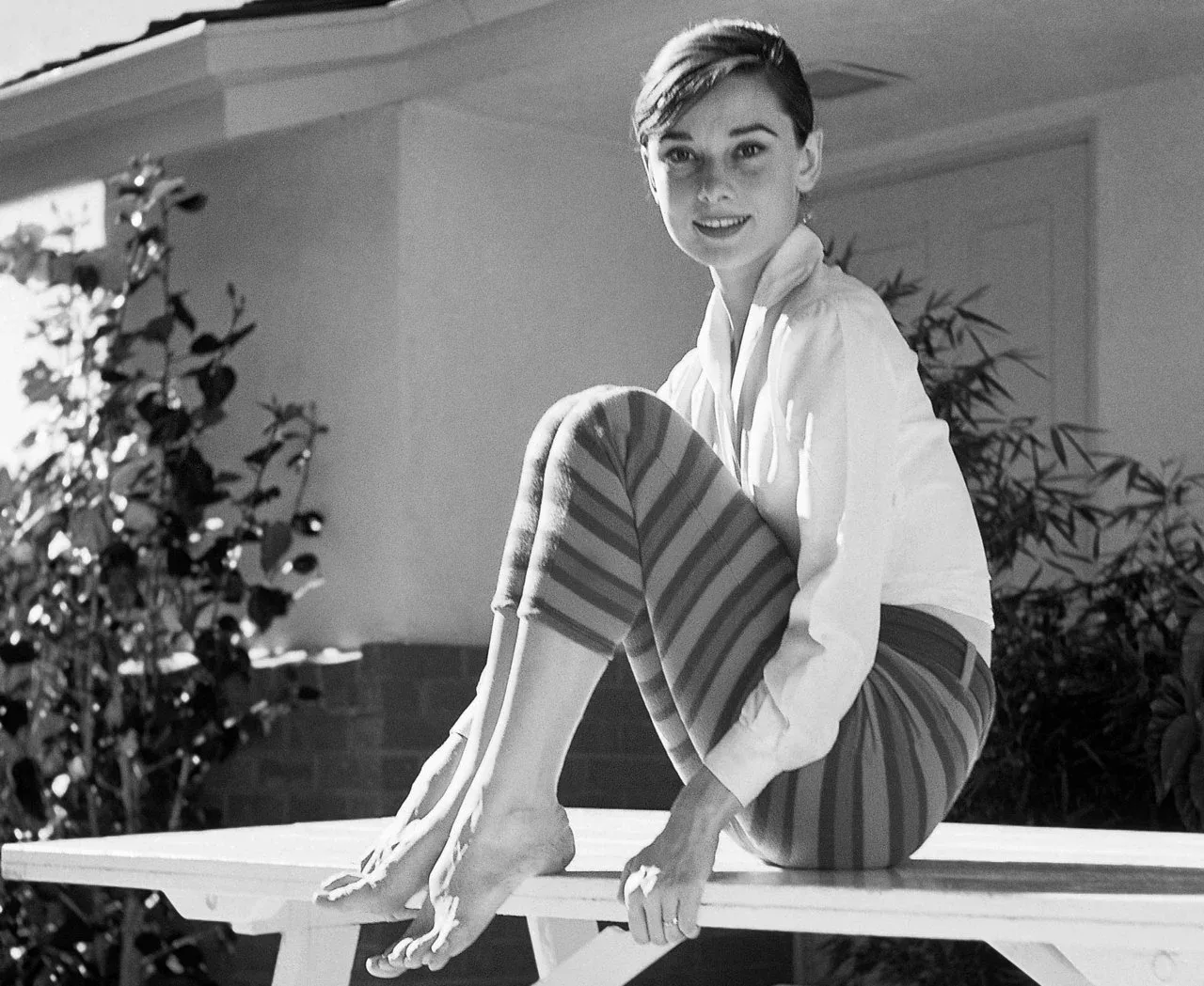 Audrey Hepburn photo 7 — British, Brown