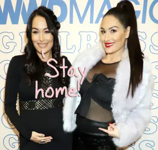 Bella Twins photo 18 — Reality TV Star (former), Sportswoman: Wrestler (former), TV Host, American
