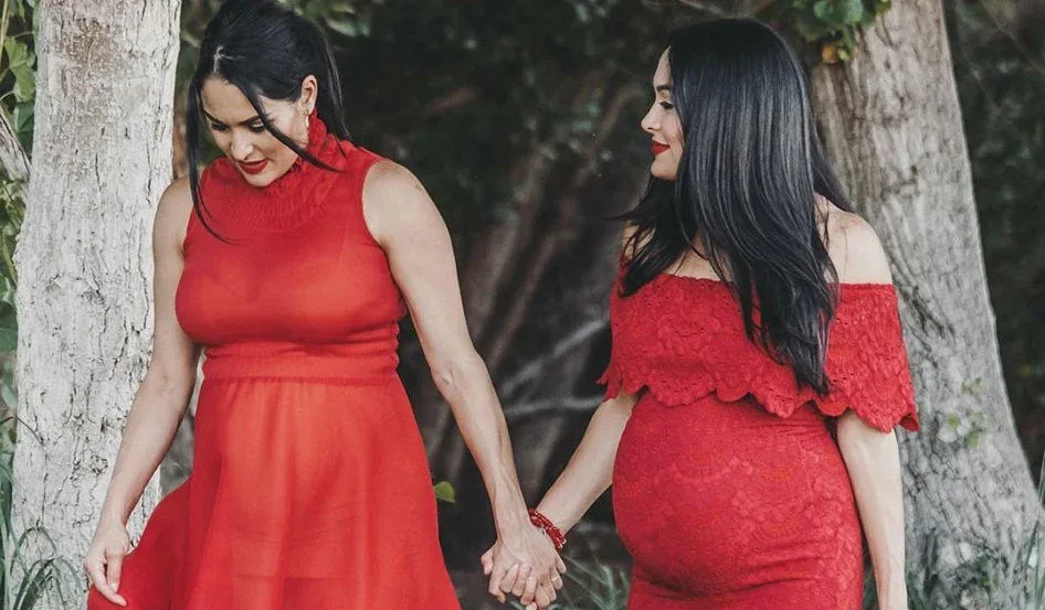 Bella Twins photo 9 — Athletic, Brown
