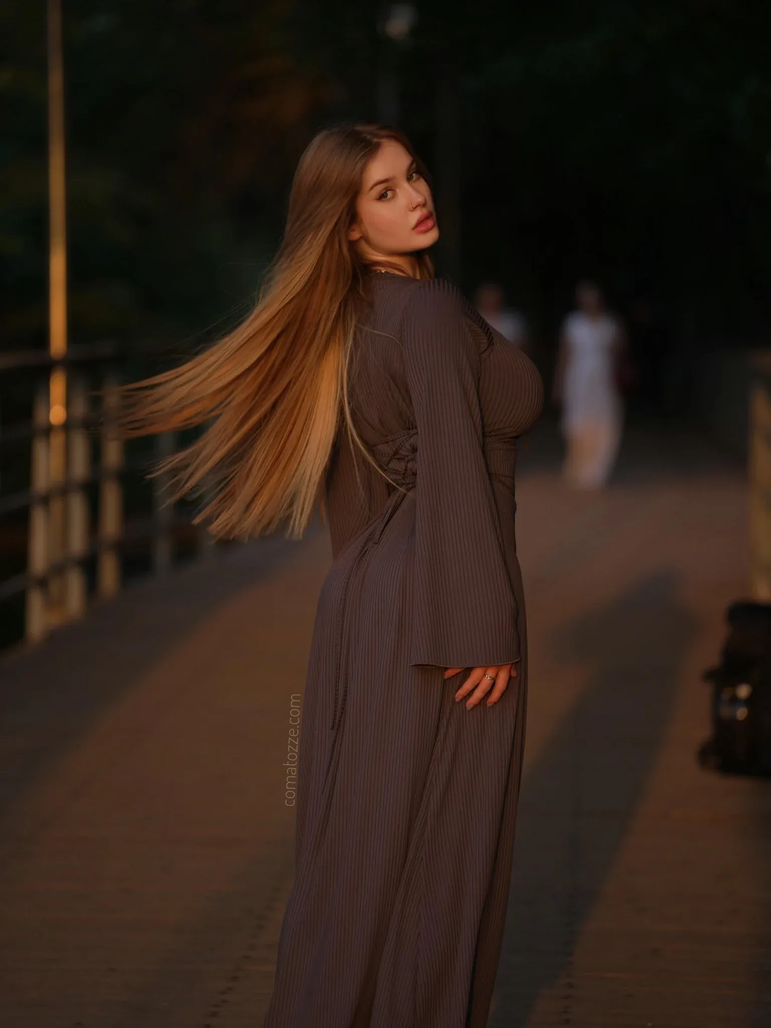 Comatozze photo 19 — Russian, Brown