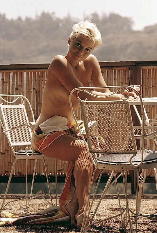 Donna Lynn photo 15 — Slim, Grey