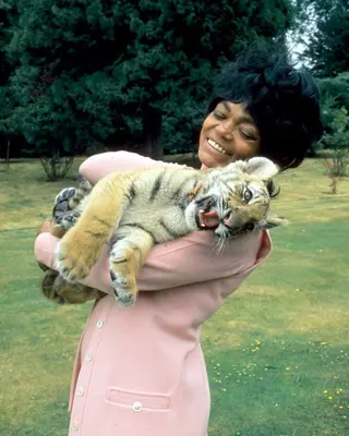 Eartha Kitt photo 4 — Brown, Mixed-race (primarily Black)