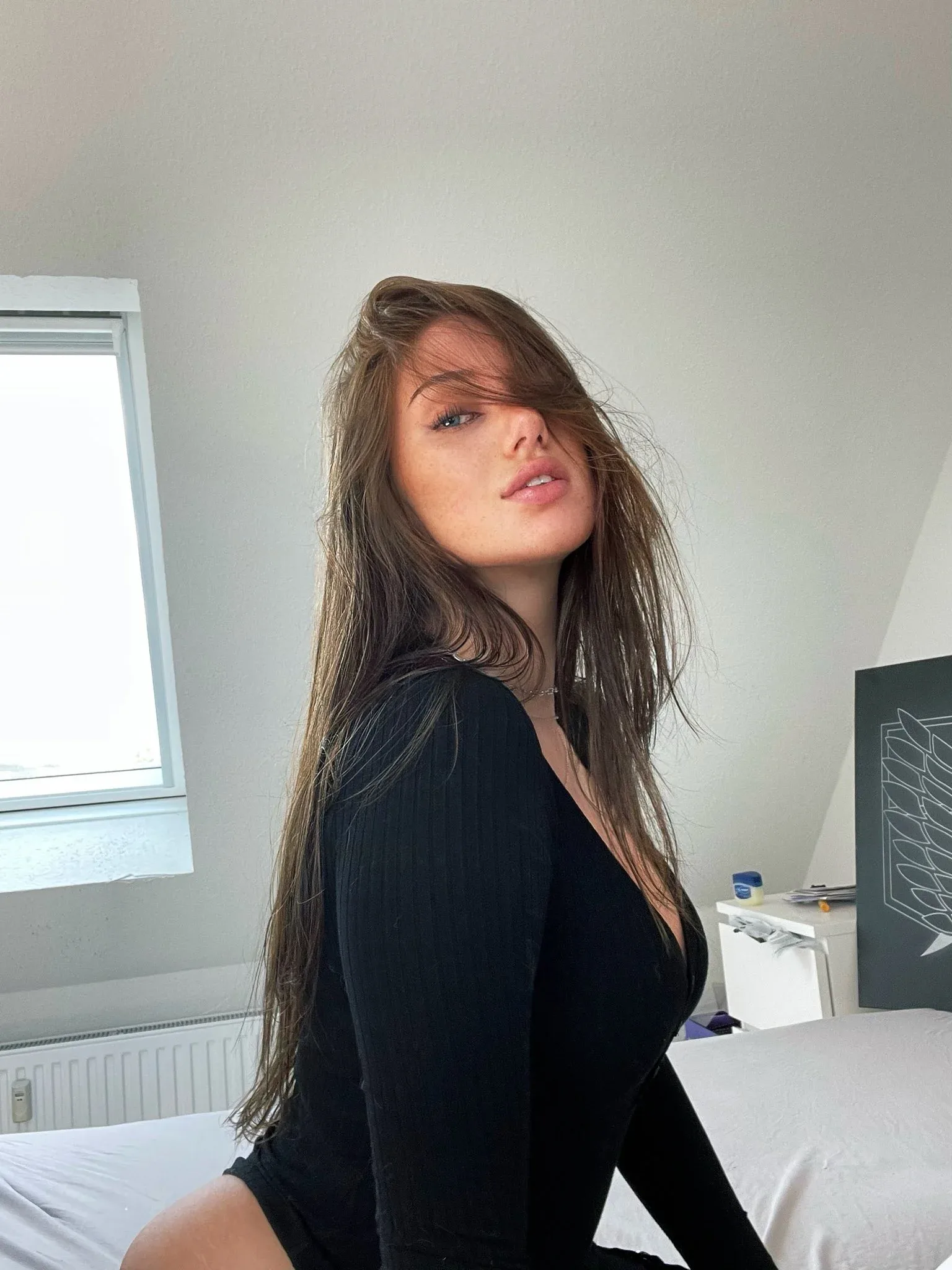 Faye Schwerin photo 2 — Brown, Average