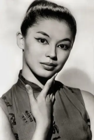 France Nuyen photo 14 — Brown, Slim