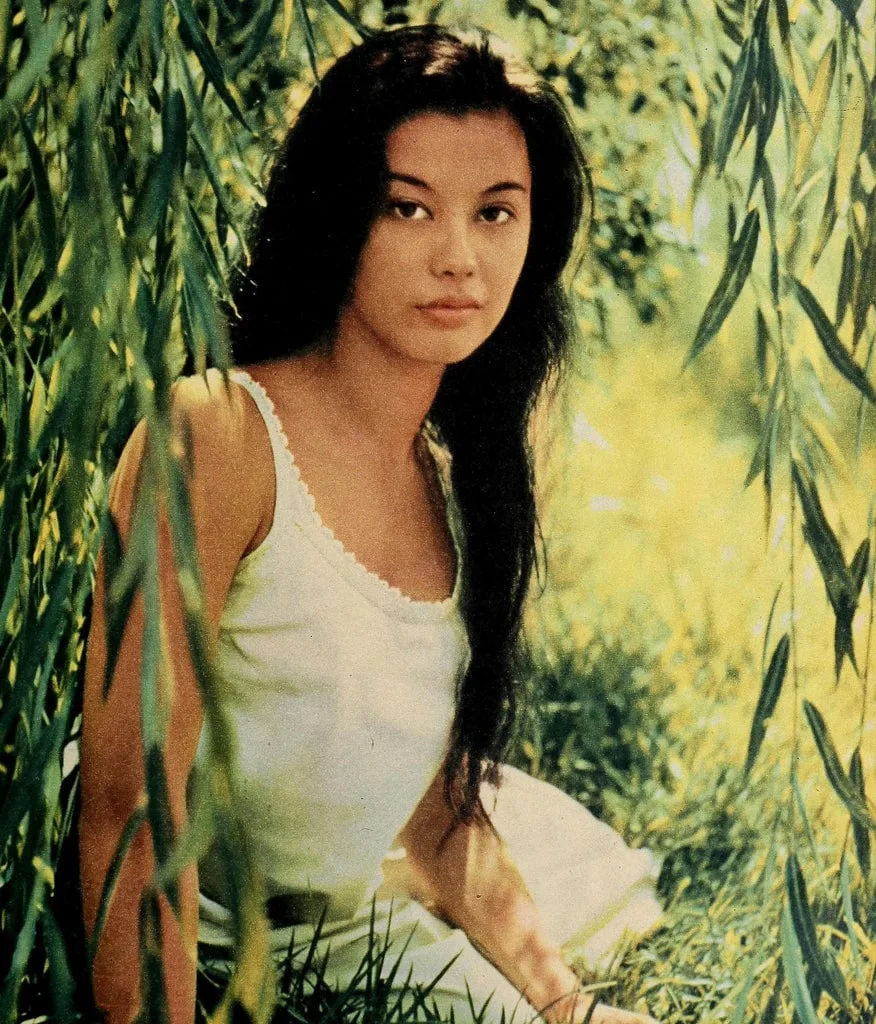 France Nuyen photo 7 — French, Brown