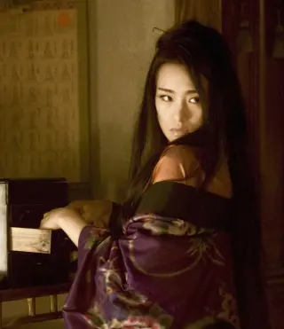 Gong Li photo 15 — Slim, Brown