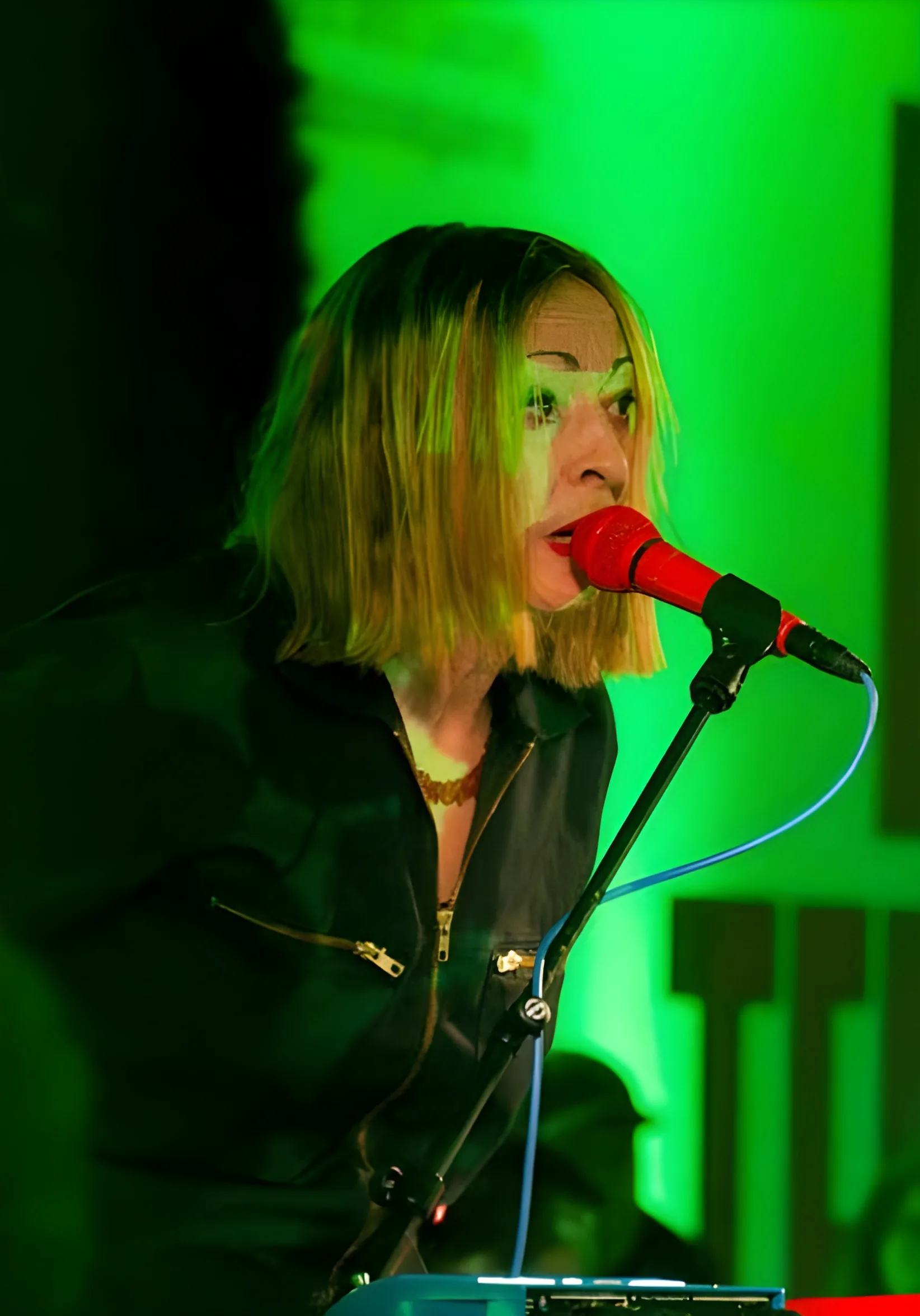 Gudrun Gut photo 2 — Auburn, Slim