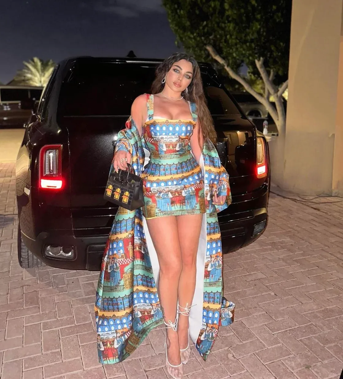Haifa Wehbe photo 15 — Average, Brown