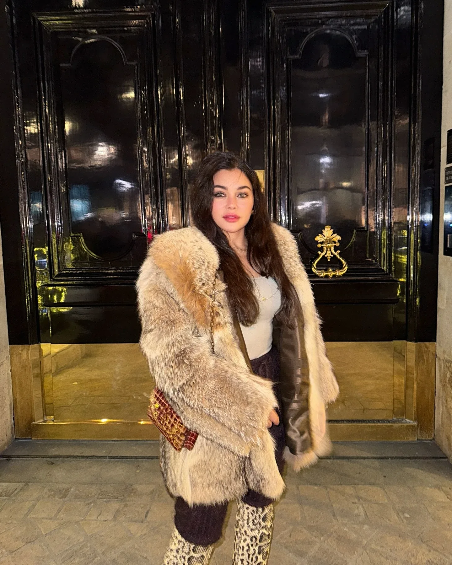 Haifa Wehbe photo 7 — Lebanese, Brown