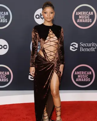 Halle Bailey photo 5 — Black, Actress, Influencer, Musician, TikTok Star, YouTuber