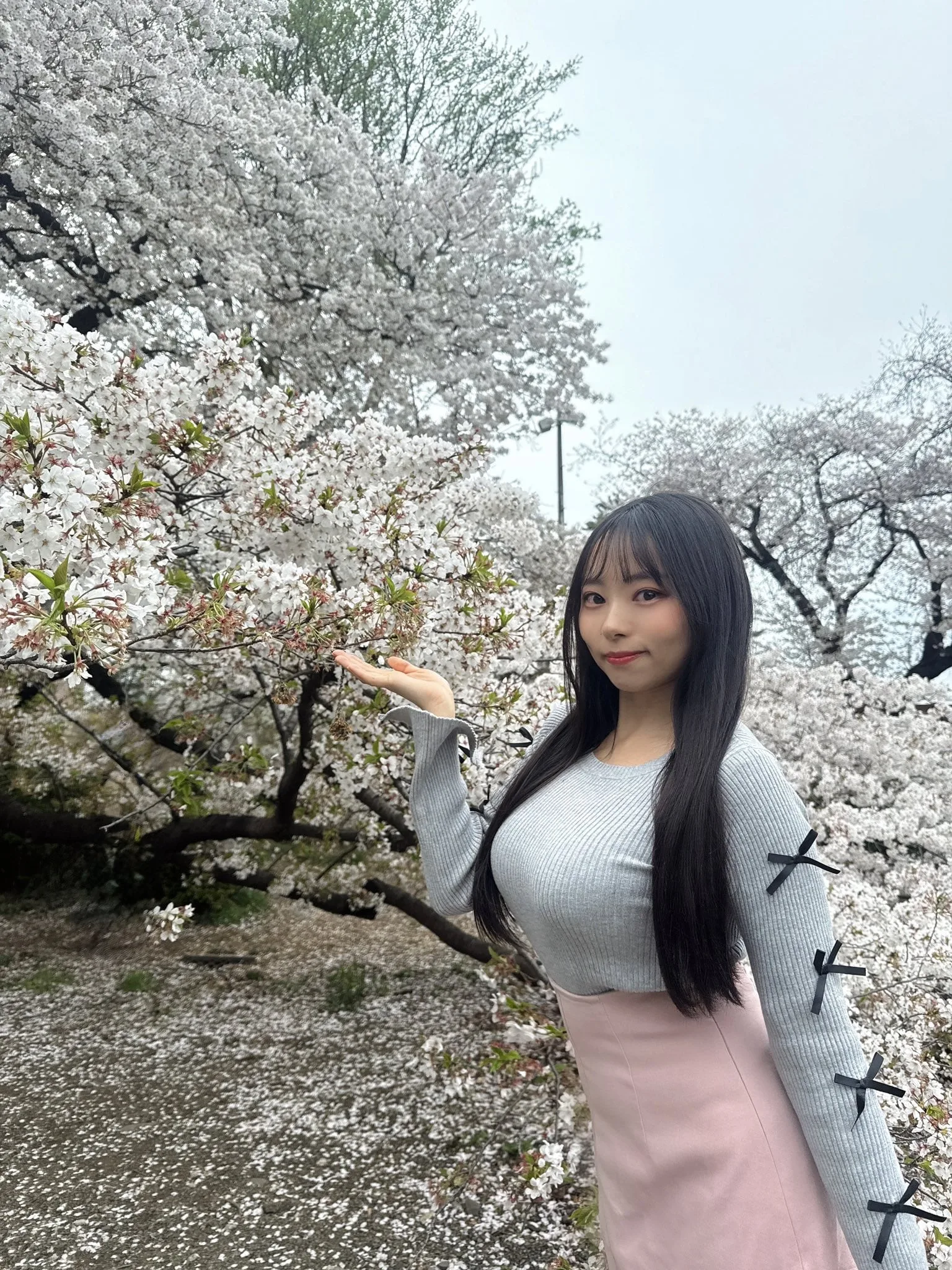 Hime Sawada photo 4 — Voice Actress, Japanese