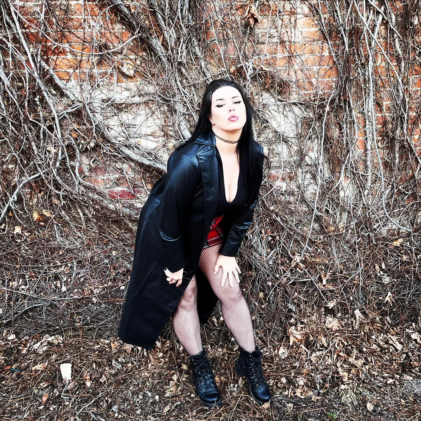 Kaceytron photo 8 — Brown, Average