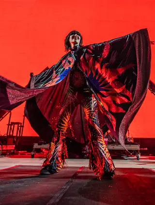 Karen O photo 15 — Slim, Brown