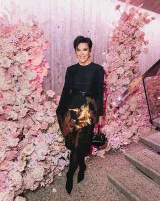 Kris Jenner photo 14 — Brown, Average