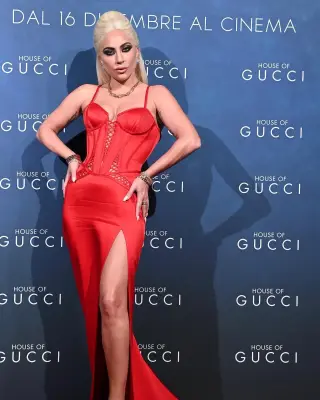 Lady Gaga photo 2 — Brown, Average