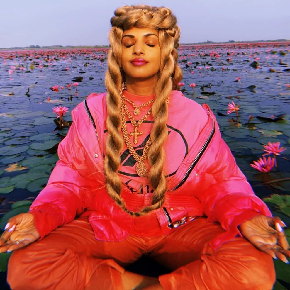 M.I.A. photo 10 — Brown, Asian