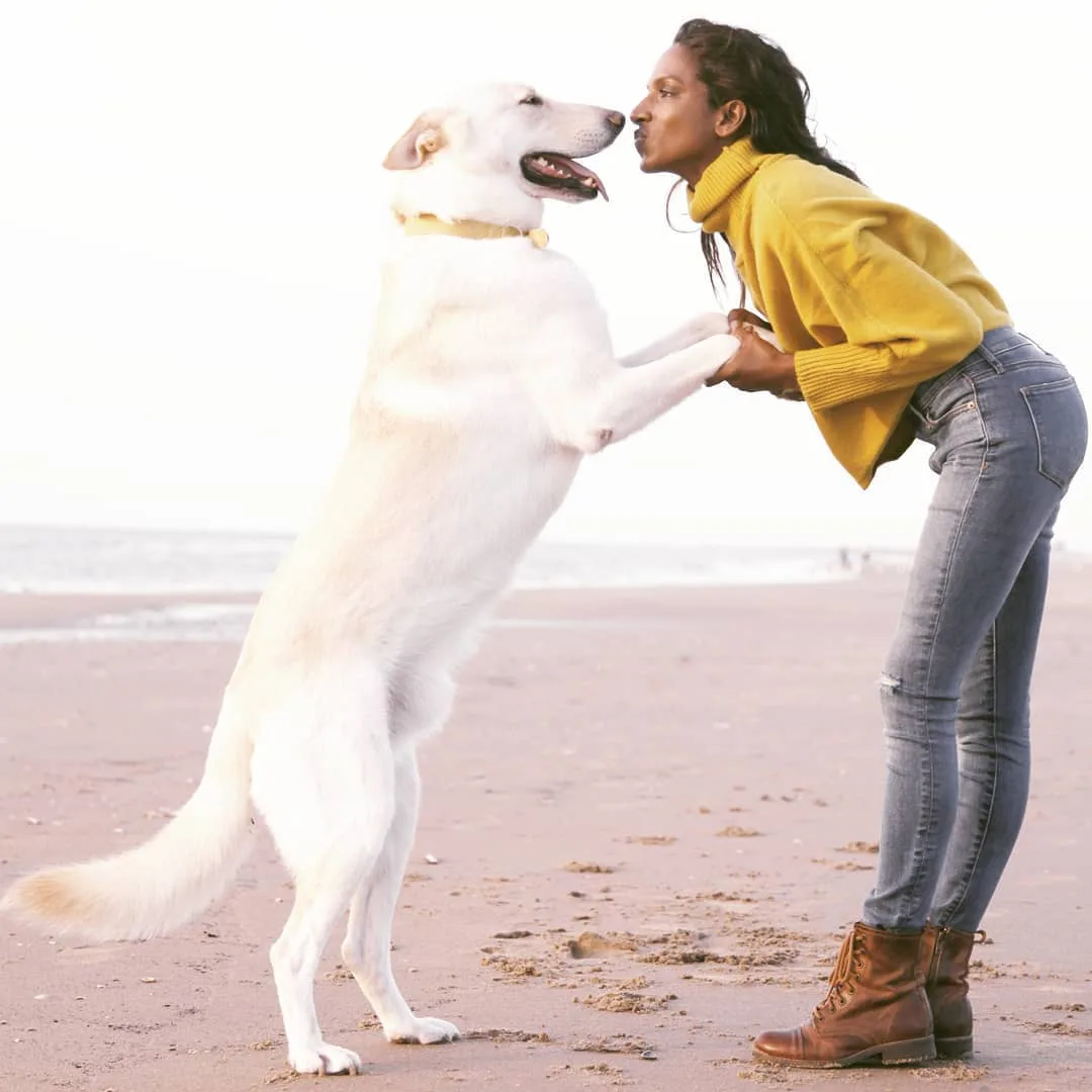 Nirmala Fernandes photo 6 — Adult Model, Glamour Model, Playboy Model, Sri Lankan