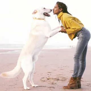 Nirmala Fernandes photo 6 — Adult Model, Glamour Model, Playboy Model, Sri Lankan