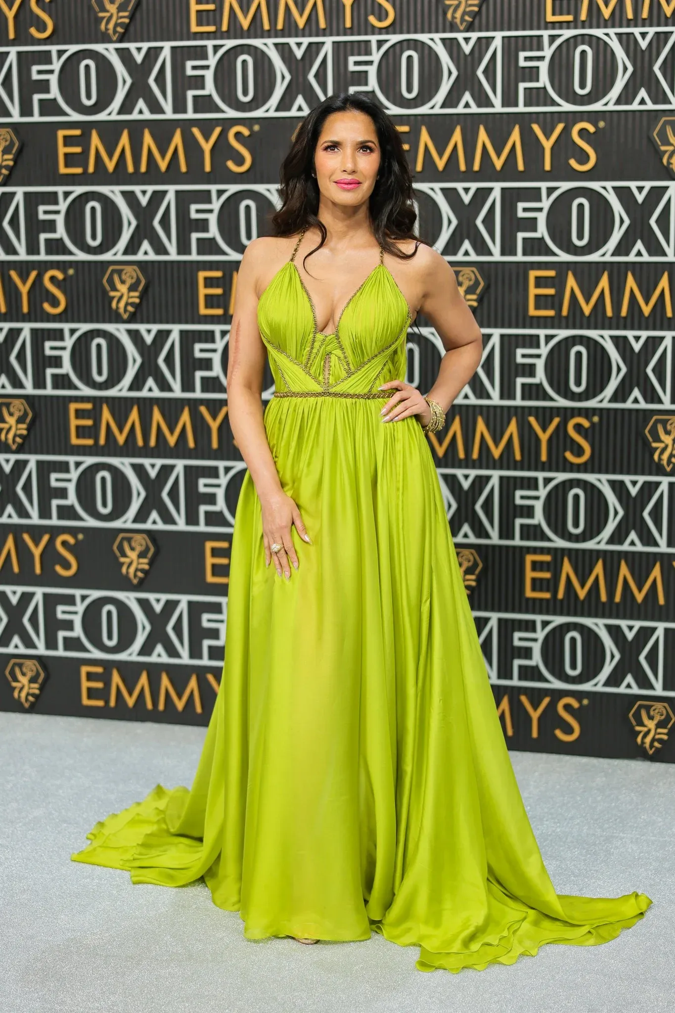 Padma Lakshmi photo 4 — Brown, Asian