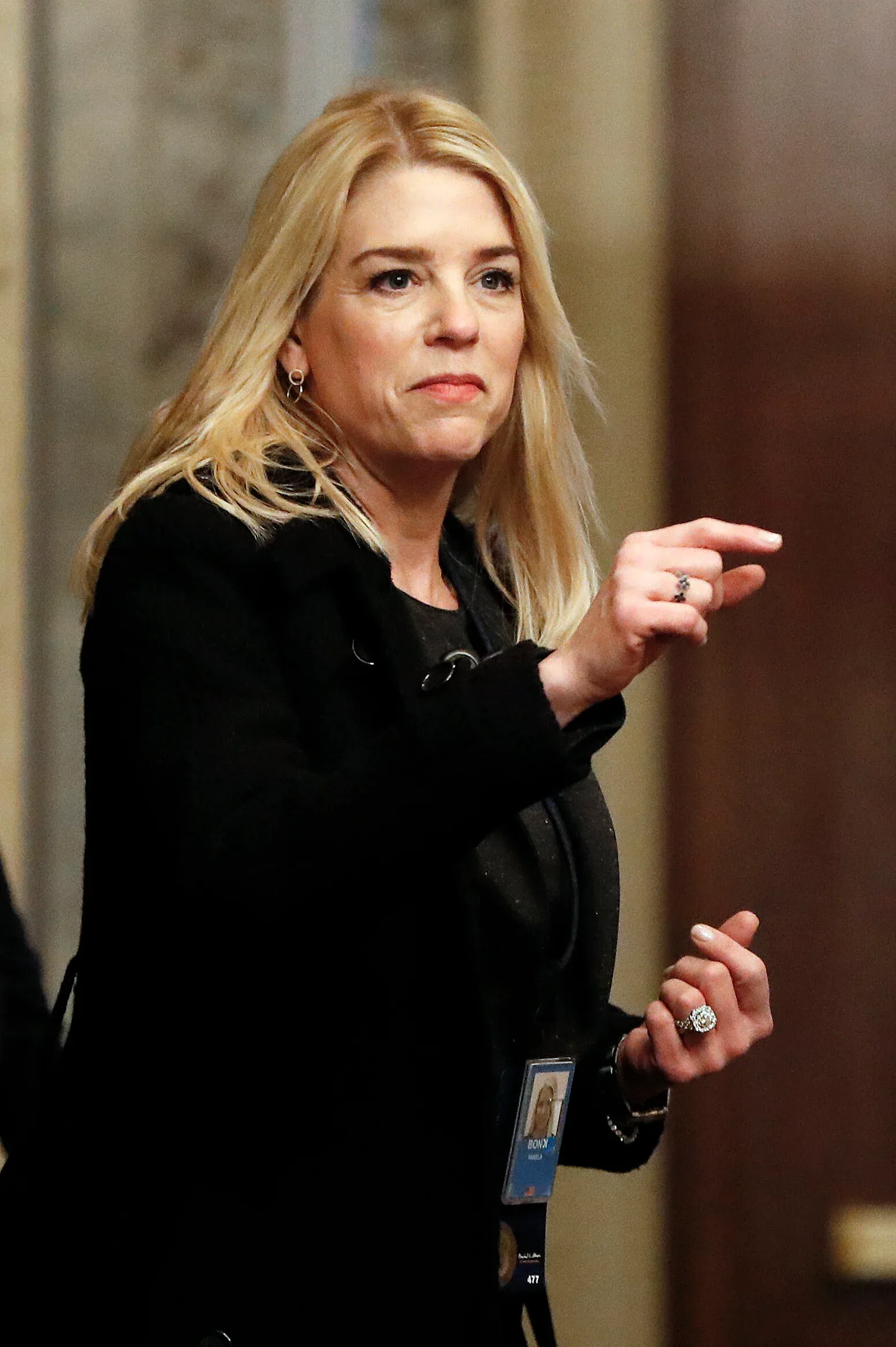 Pam Bondi photo 9 — Average, Blue