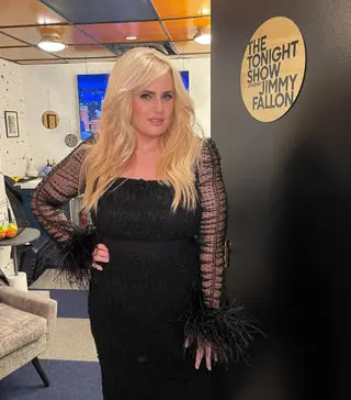 Rebel Wilson photo 6 — Actress, Author, Comedian, Director, Influencer, Producer, Writer, Australian
