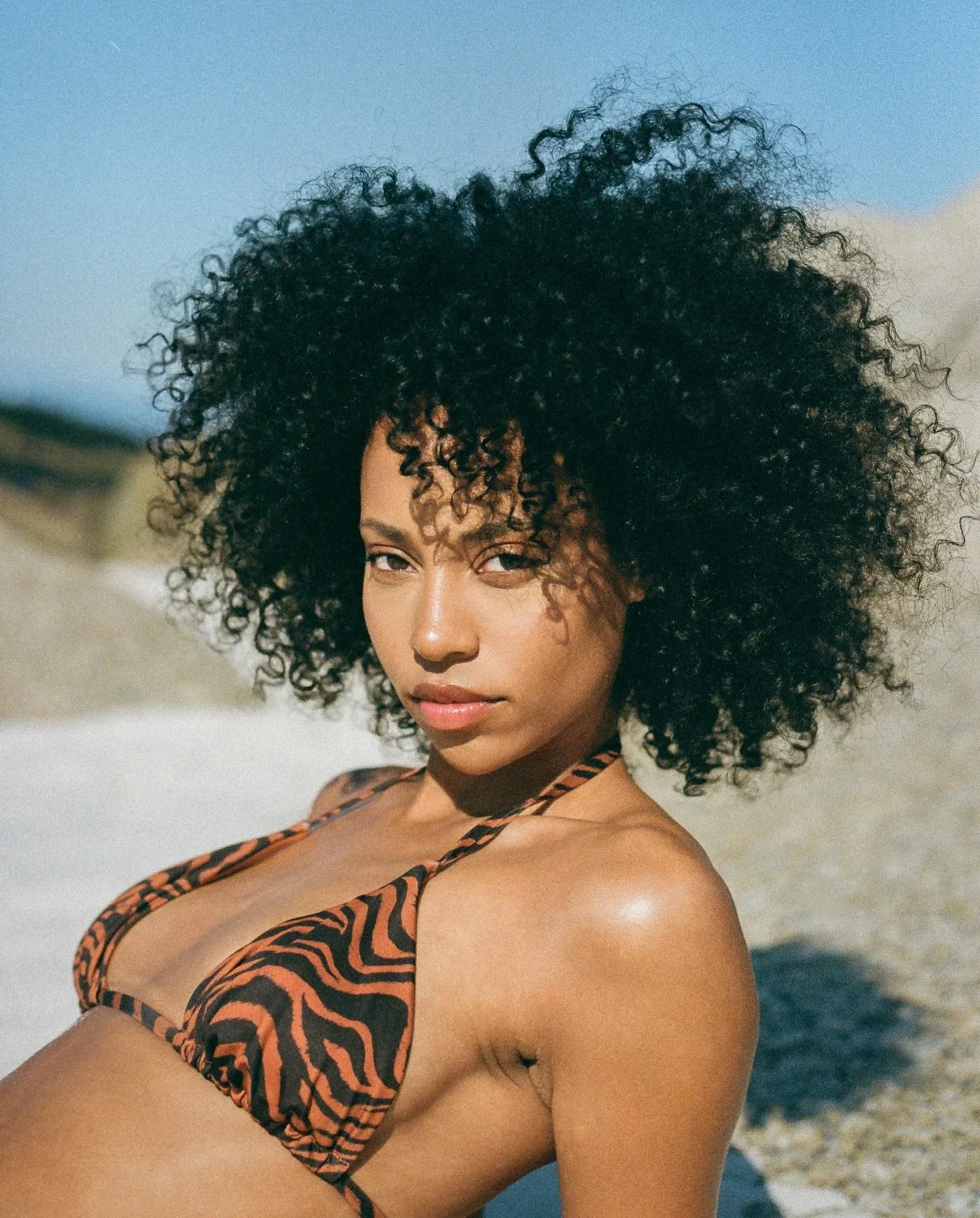 Trishxma photo 19 — German), (Kenyan, Brown