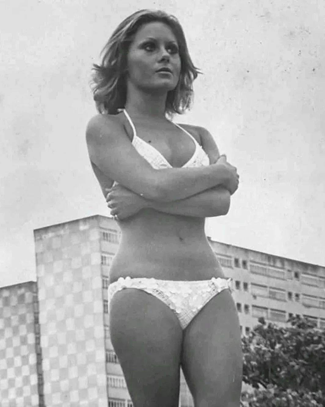 Vera Fischer photo 8 — Blonde, Average